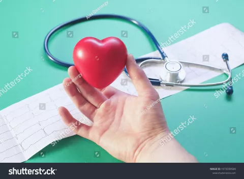 Cases-descp-2.jpg