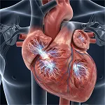 AF Disease