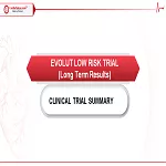 EVOLUT LOW RISK LONG TERM