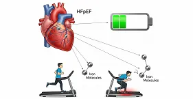 HF and Iron Status