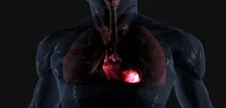 Cardiac Inflammation
