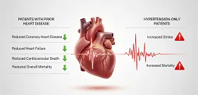 Effect of Heart Rate Lowering Drugs