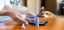 Diabetes Guidelines