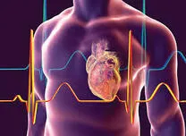 	Elevated Lipoprotein(a) Linked to Coronary Plaque Instability in ACS