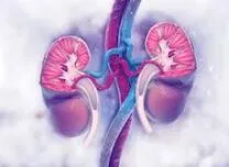 	High C-Reactive Protein Signals Increased Mortality in Cardiovascular and Kidney Disease