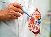 Kidney Function and Bicarbonate Levels Shaped Diuretic Response in Refractory Heart Failure