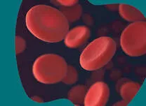 Nimacimab Shows Favorable Safety and Early Metabolic Effects in MAFLD