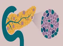 Baricitinib Preserves Beta Cell Function in Young Adults With Recent-Onset T1D