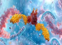  Targeted Proteomics Identifies Biomarkers Linked to Insulin Resistance and Beta Cell Impairment Years Before Type 2 Diabetes Onset