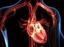 Syndromic and Metabolic Cardiomyopathies Linked to Higher Cardiovascular Risk than Hypertrophic Cardiomyopathy