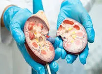Long-Term Risk Factors Driving Chronic Kidney Disease Progression in Type 2 Diabetes