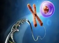 Pathogenic Mitochondrial DNA Mutation Selectively Impairs Muscle Insulin Sensitivity and β-Cell Function