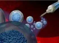 VX-880 Stem Cell Therapy Shows Durable Glycemic Control in Type 1 Diabetes