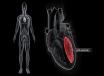 Left Atrial Dysfunction Serves as a Prognostic Marker in Asymptomatic Aortic Regurgitation