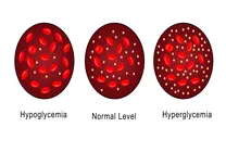 Cancer Patients Who Develop Hyperglycemia Face Markedly Higher Mortality Risk