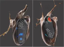 Electro-Optic Flow-Guided Ablation Reduces AF Inducibility in Persistent AF