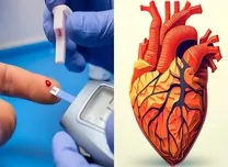 Coronary Plaque Burden Identifies Higher Risk in Diabetes Even With Normal Perfusion