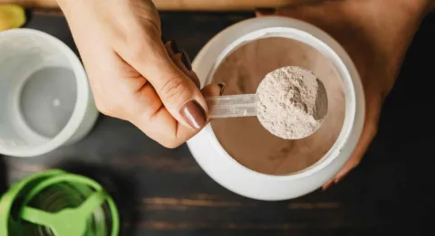 protein based diet