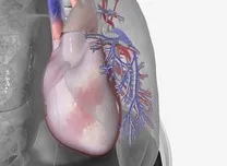 AHA 2025 Sessions: Aortic Length Indexed to Body Surface Area Identifies Mortality Risk in Ascending Thoracic Aortic Aneurysm