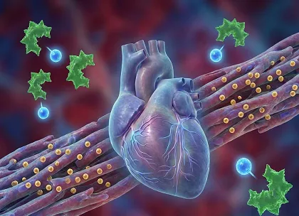 PED9 Inhibition and HF
