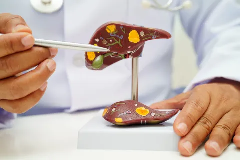 Higher eGDR Levels Associated With Lower Mortality in MASLD