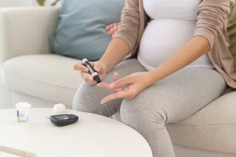 Pre-Pregnancy BMI Modifies Endothelial pH Regulation in GDM