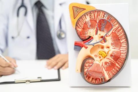 NHHR Linked to Albuminuria in Diabetes, Varies by CKD Stage