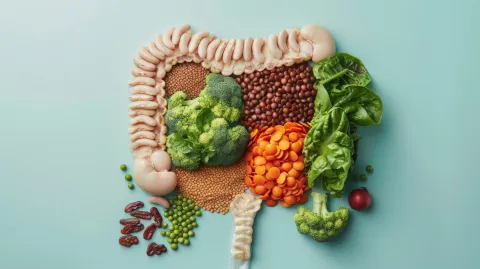 Gut Microbiota Patterns in T2DM Highlight Dietary Fiber Role 