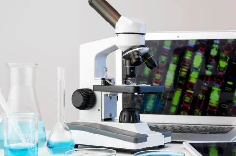 Trans-Ancestry PRS Enhances Type 1 Diabetes Risk Identification