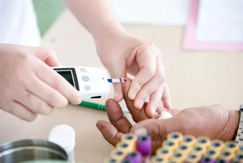 South Asians Show Distinct Meal Hormone Responses vs Europids