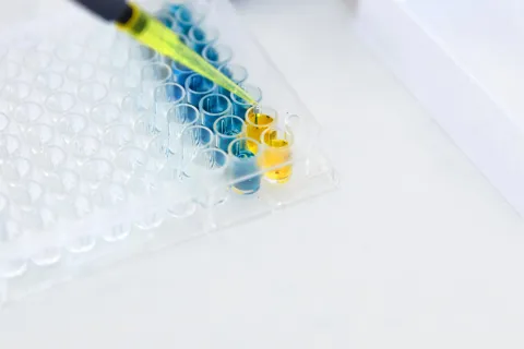 Circulating 12-Protein Panel Flagged Macrovascular Risk in Diabetes