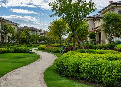 Greenery and CVD