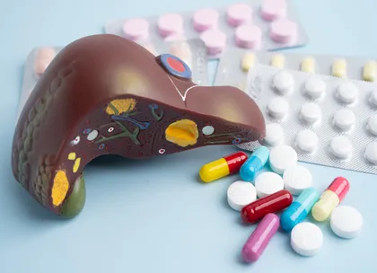 liver and drugs