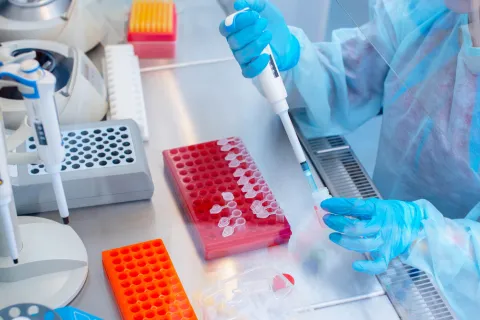 Immunotherapy 