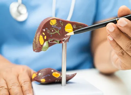 liver function