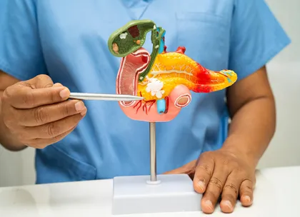 pancreas